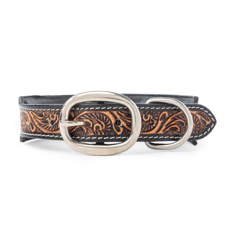 Turquoise Trail Dog Collar Black /Medium