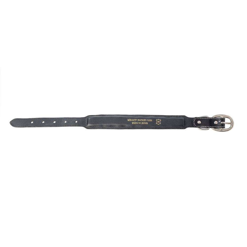 Turquoise Trail Dog Collar Black /Medium