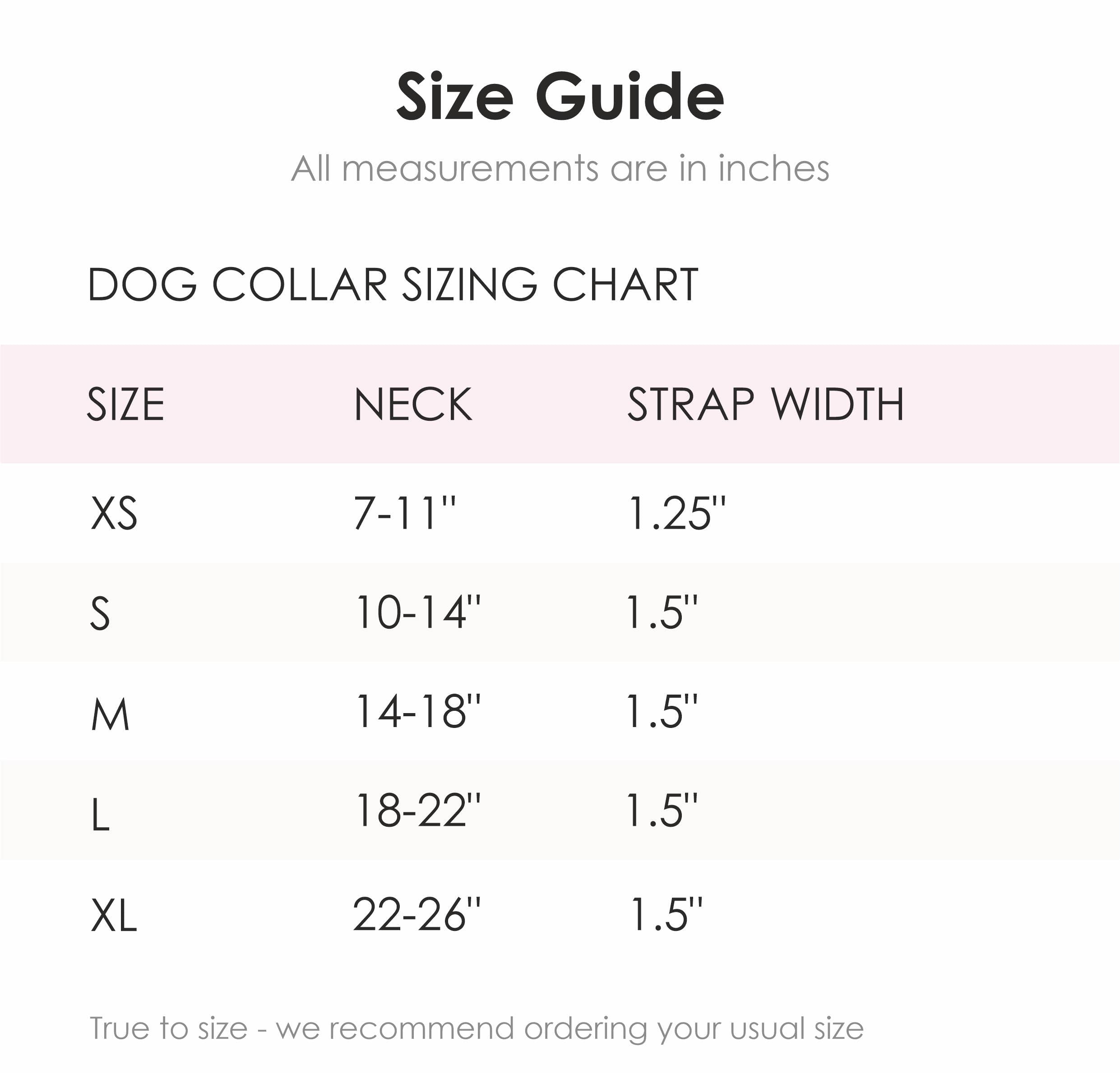 Sky Dog Collar in Turquoise: Turquoise / Small