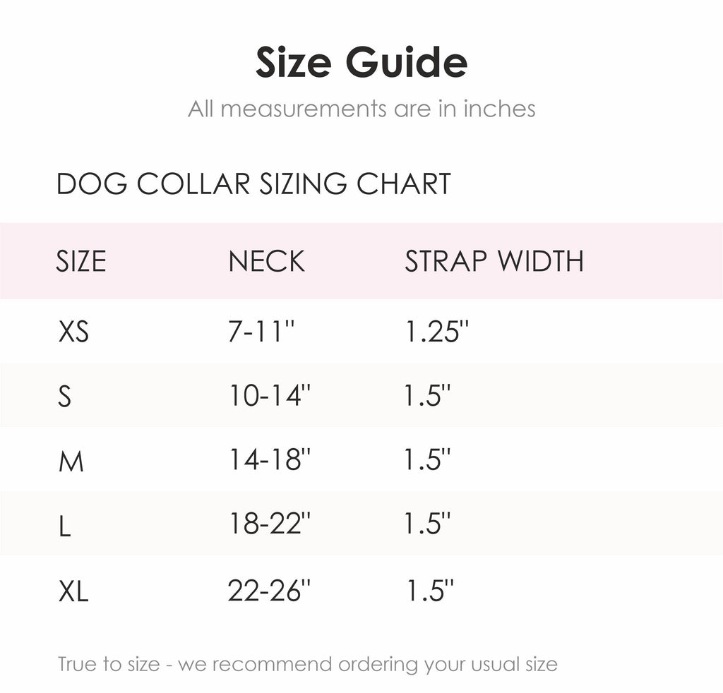 Hand-Tooled Leather Dog Collar: Aqua / MEDIUM