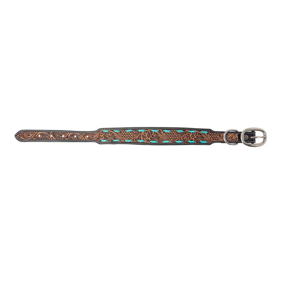 Turquoise Trail Dog Collar Black /Medium