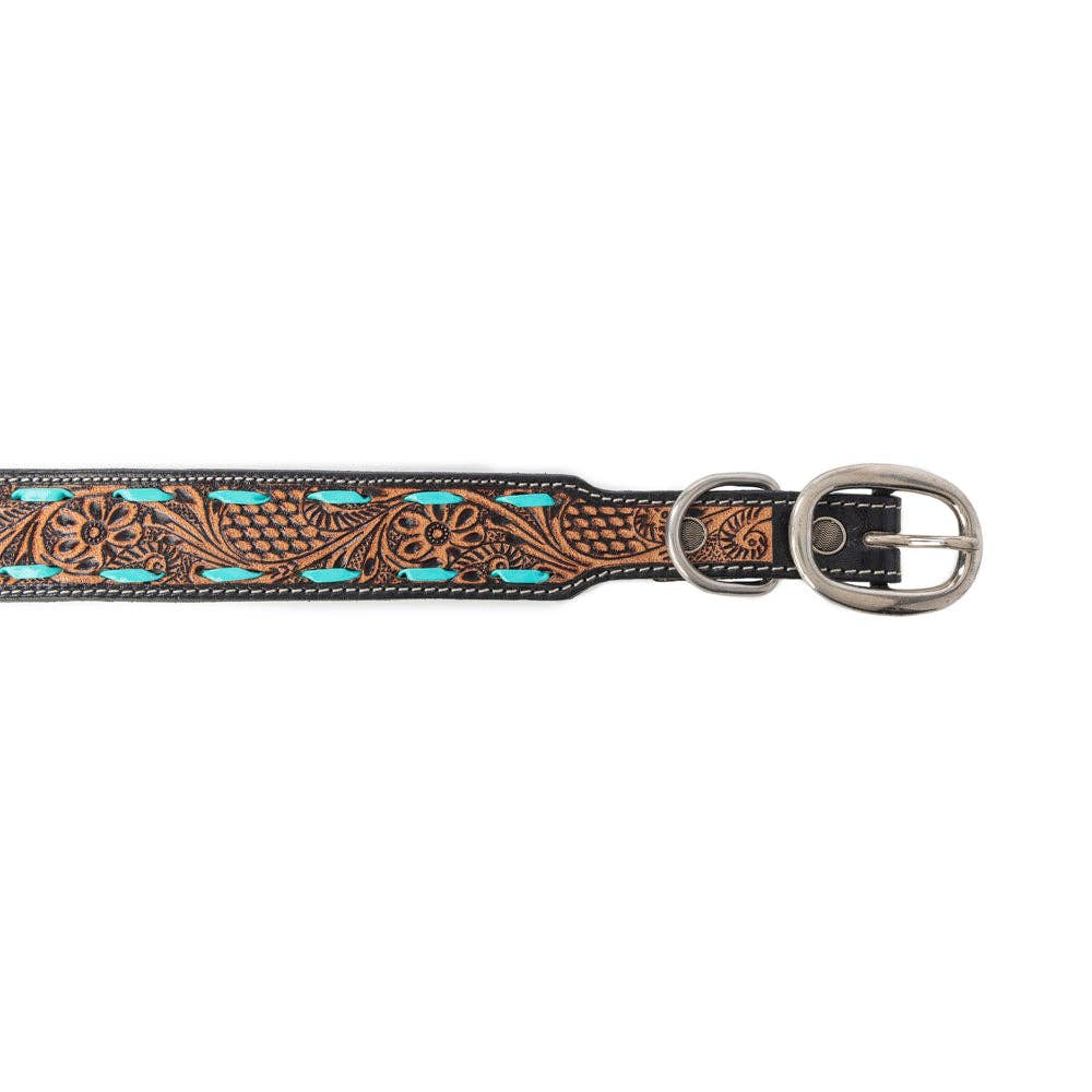 Turquoise Trail Dog Collar Black /Medium