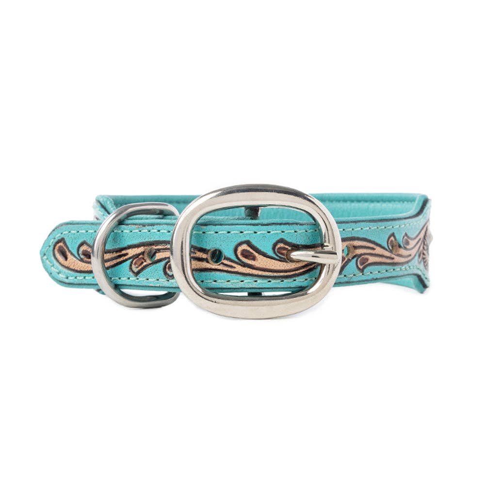 Sky Dog Collar in Turquoise: Turquoise / Large