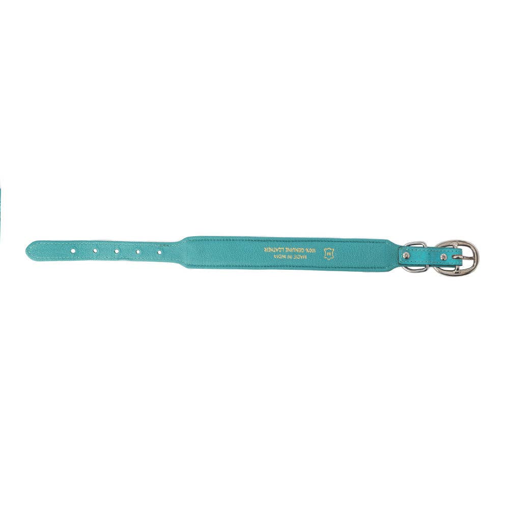 Sky Dog Collar in Turquoise: Turquoise / Small