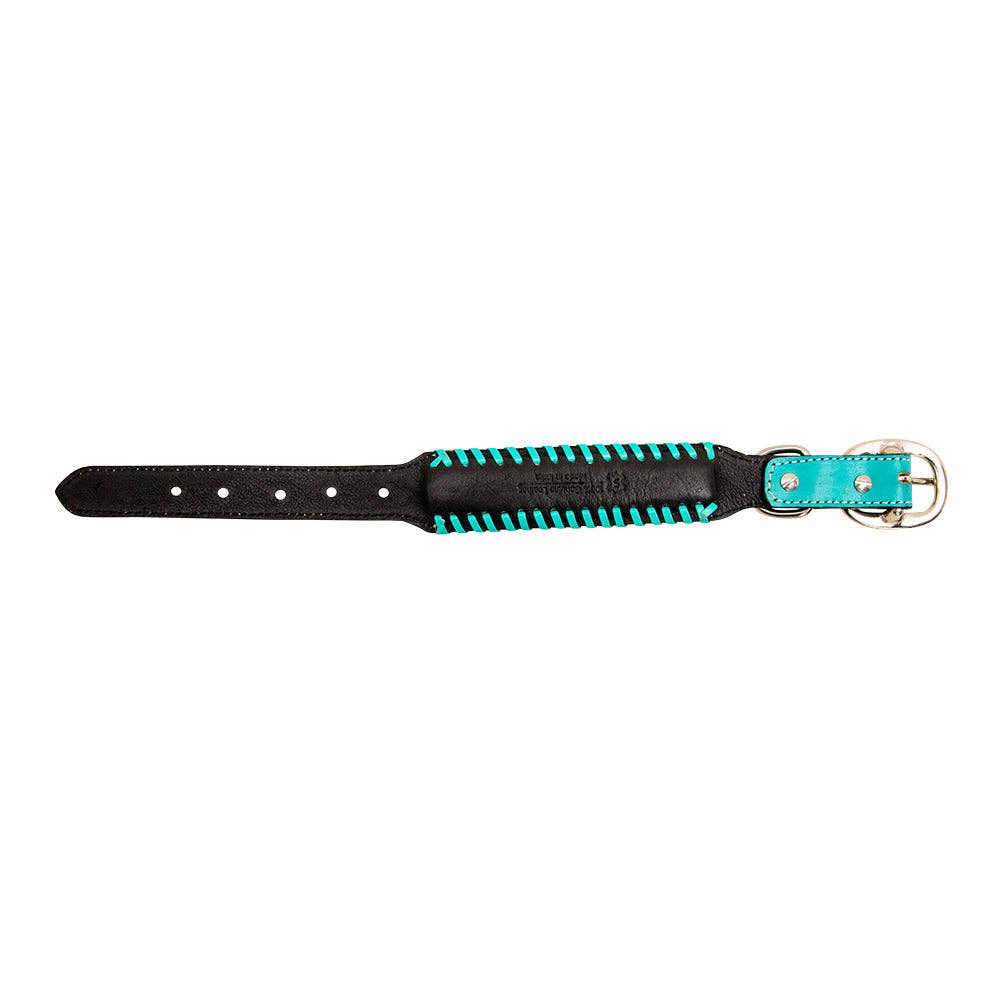 Hand-Tooled Leather Dog Collar: Aqua / MEDIUM
